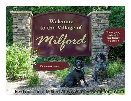 Skippy and Sadie for calendar