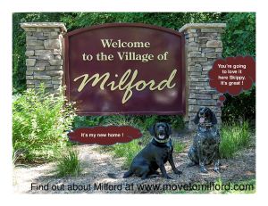 Skippy and Sadie for calendar