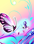 butterfly 2