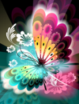 butterfly 3