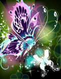 butterfly1