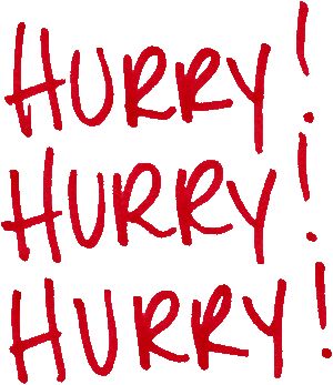 hurry hurry